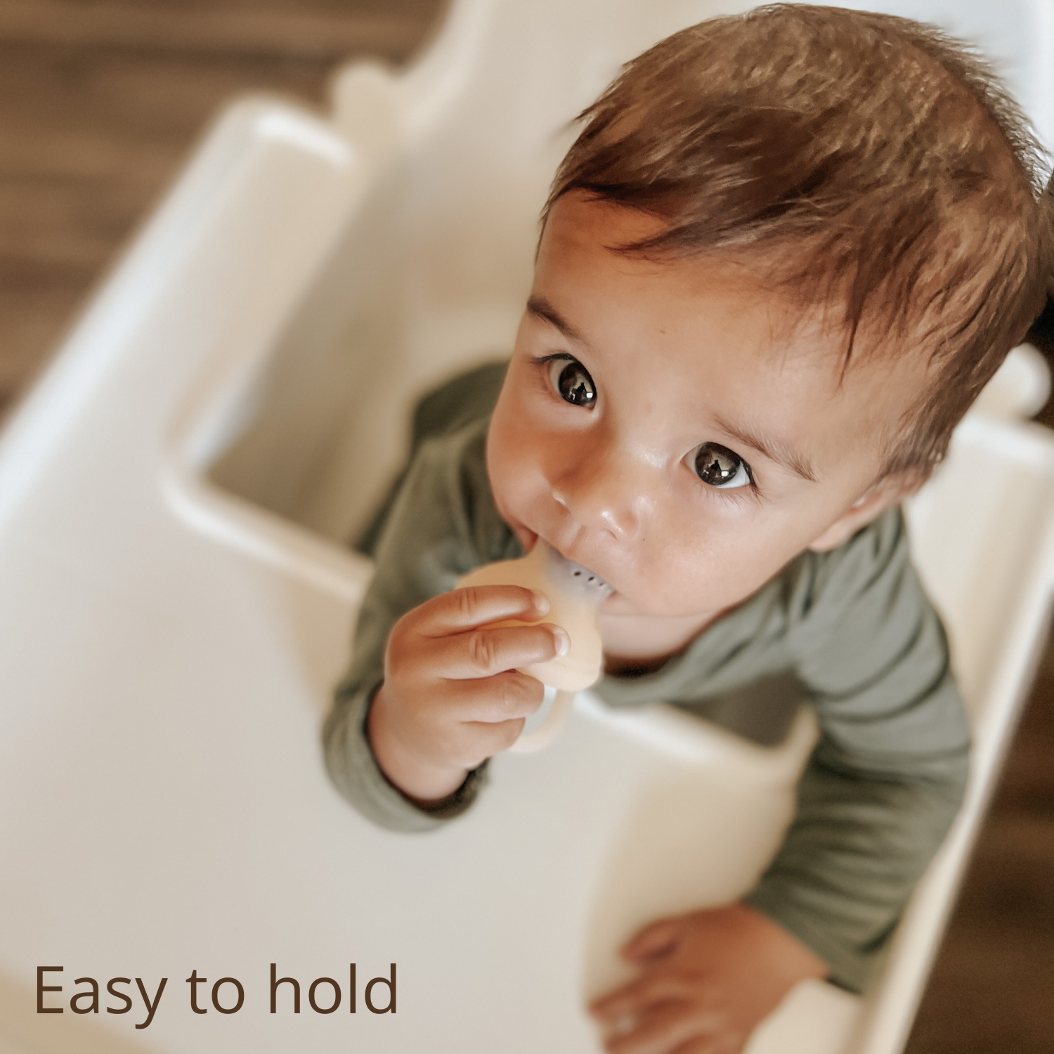 Silicone Food & Fruit Feeder