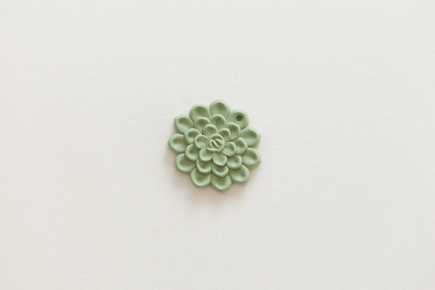 Succulent Teether & Clip Set