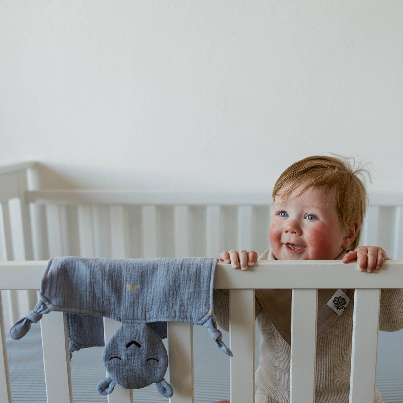 Windy Muslin Lovey