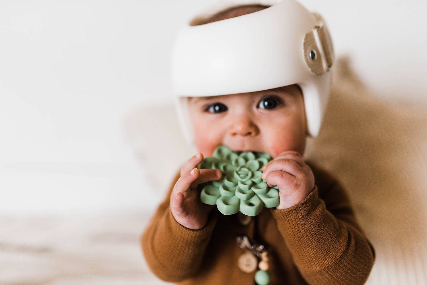 Succulent Teether & Clip Set