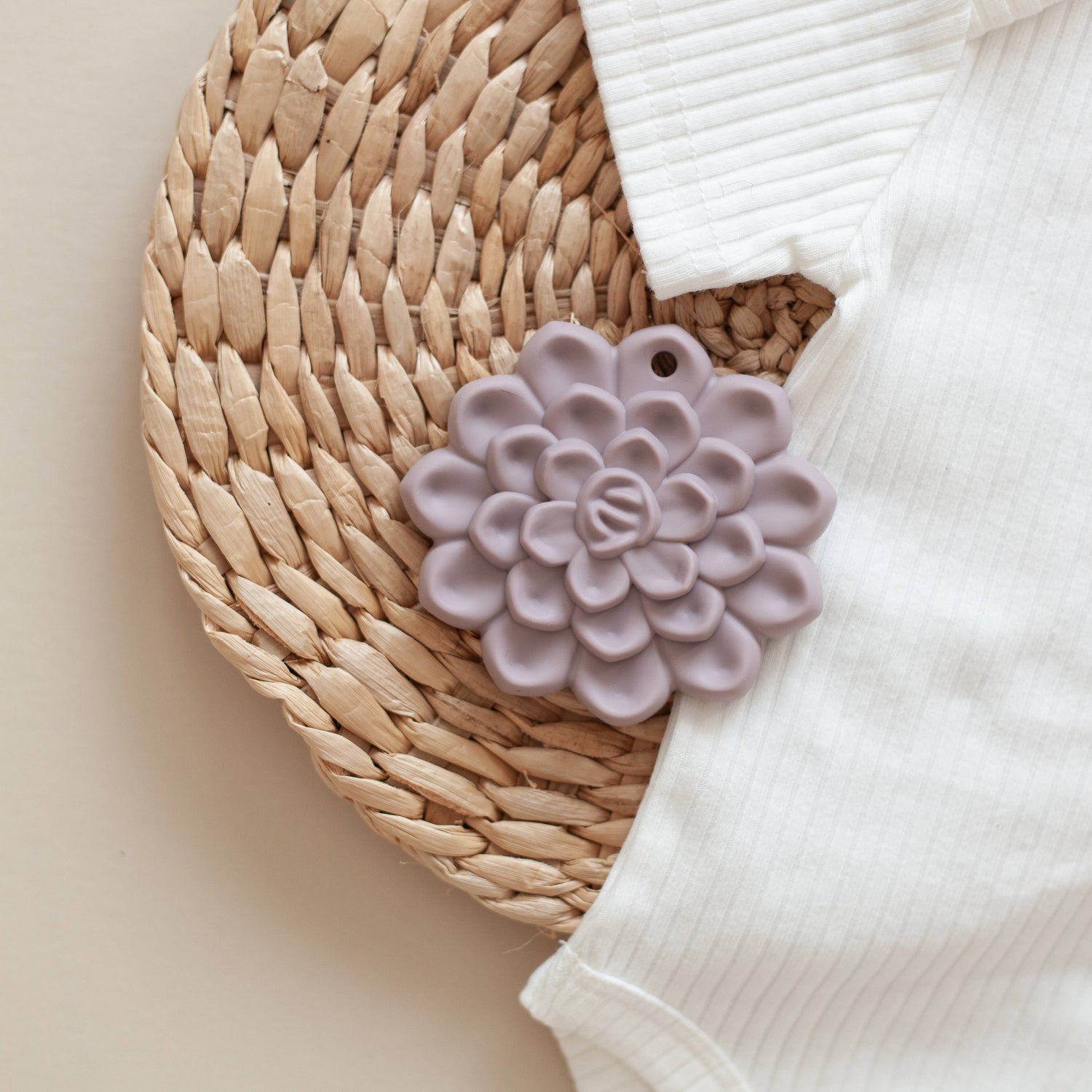 Succulent Teether & Clip Set